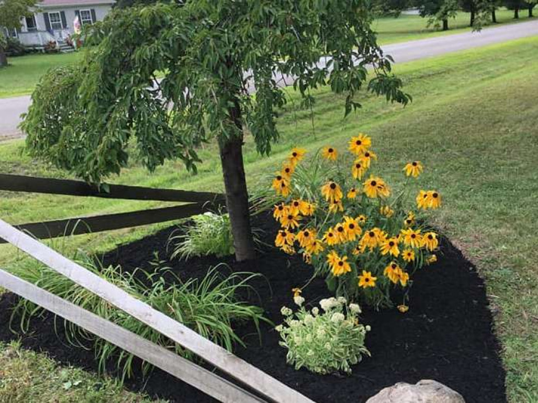 Garden Of Eden Florist Jamestown Ny - Garden Ftempo